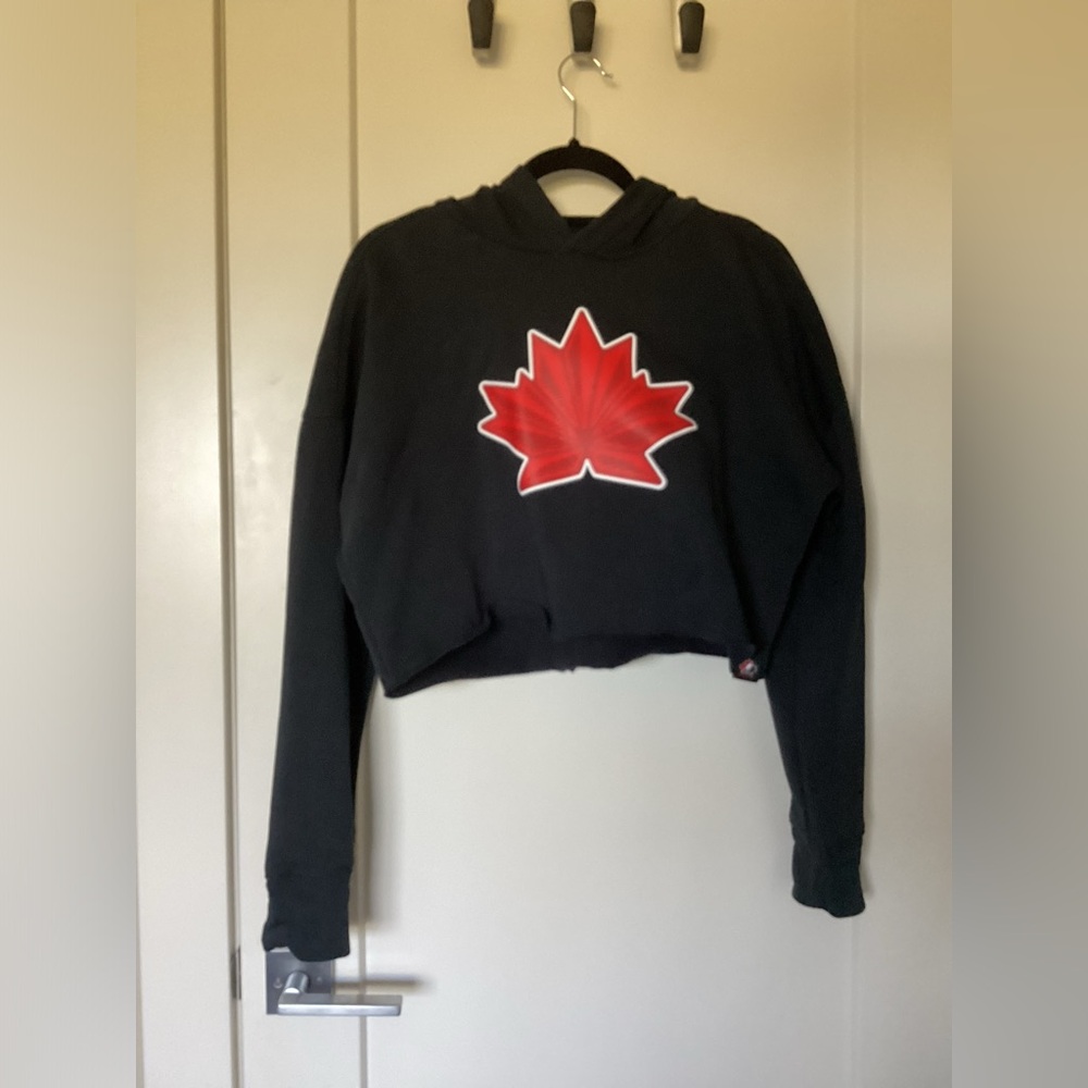Nike crop hoodie NWOT